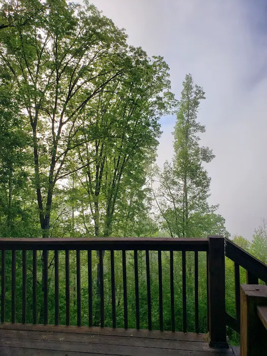 Bear Bottoms Chalet Picture 6