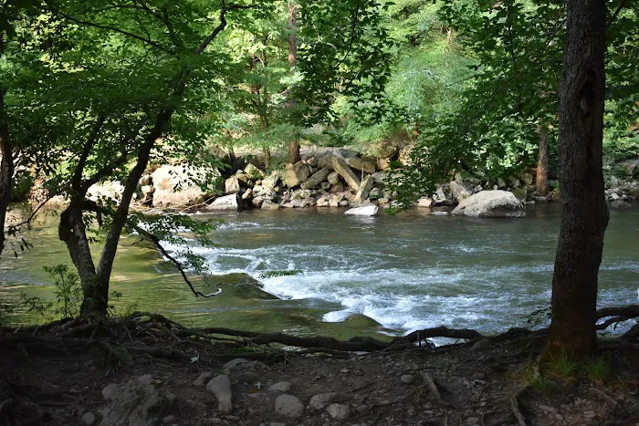 Wolf Campground Picture 2