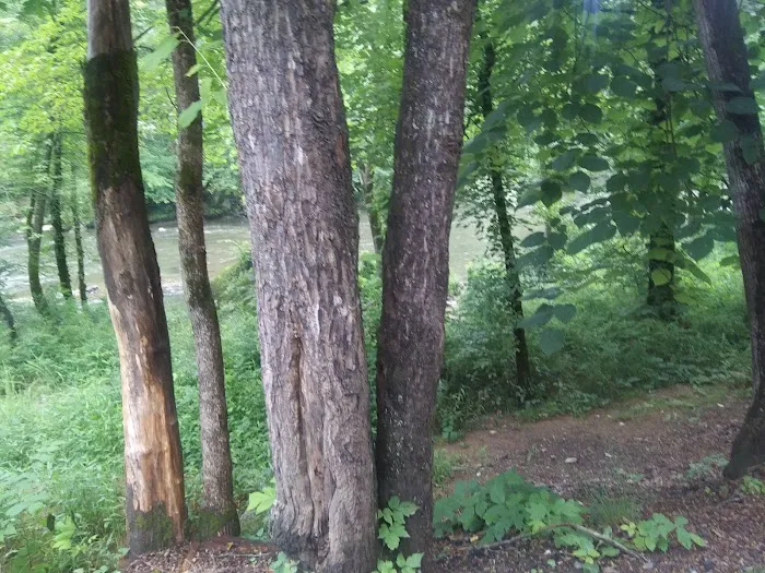 Wolf Campground Picture 4