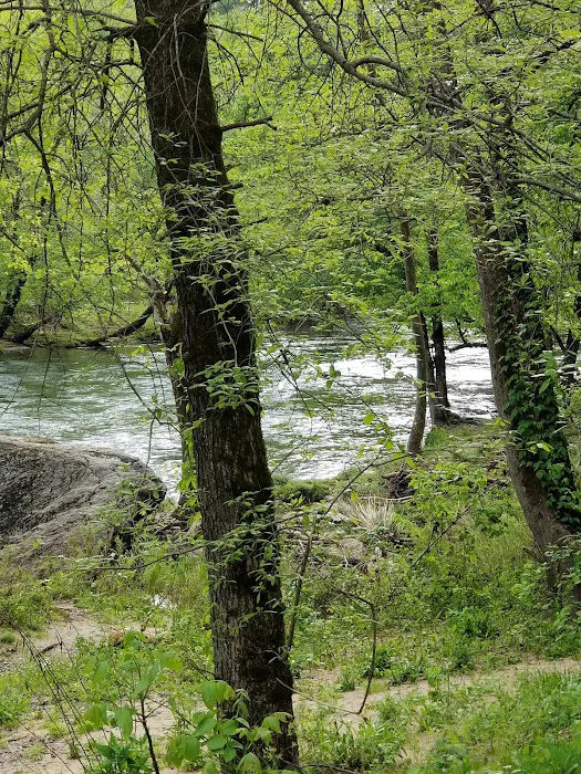 Wolf Campground Picture 10