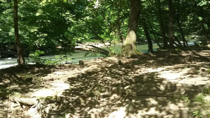 Wolf Campground Picture 8