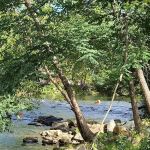 Bradley's Campground & Cabins