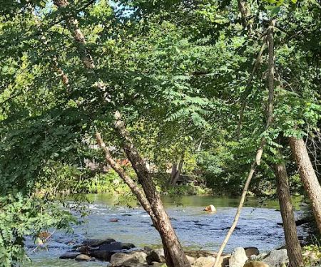 Bradley's Campground & Cabins