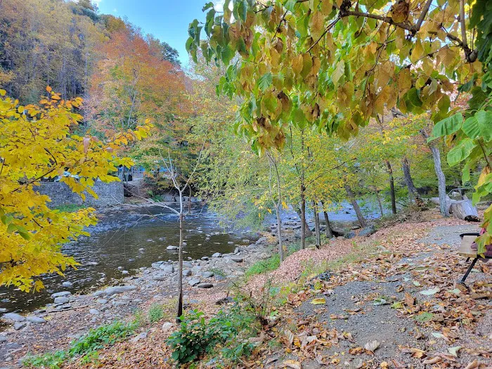 Bradley's Campground & Cabins Picture 4