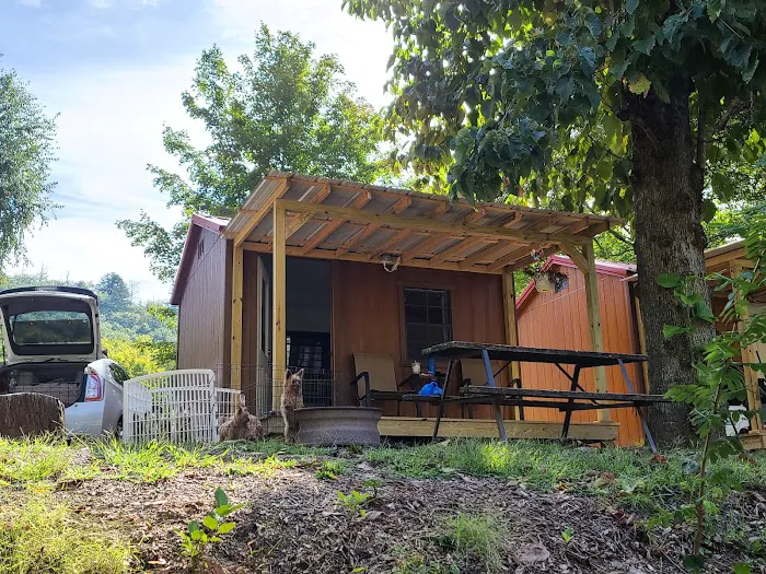 Bradley's Campground & Cabins Picture 10