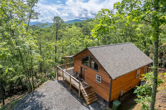 The Lazy Laurel Picture 1