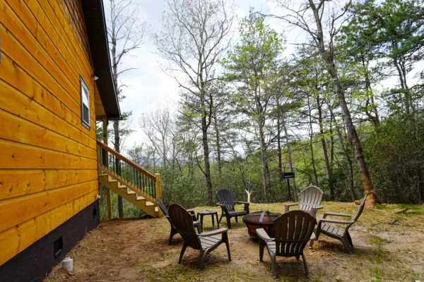 The Lazy Laurel Picture 9