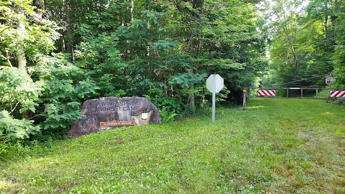 Wine Spring Horse Camp Picture 2