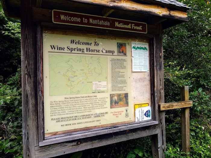 Wine Spring Horse Camp Picture 3