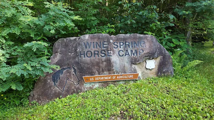 Wine Spring Horse Camp Picture 5