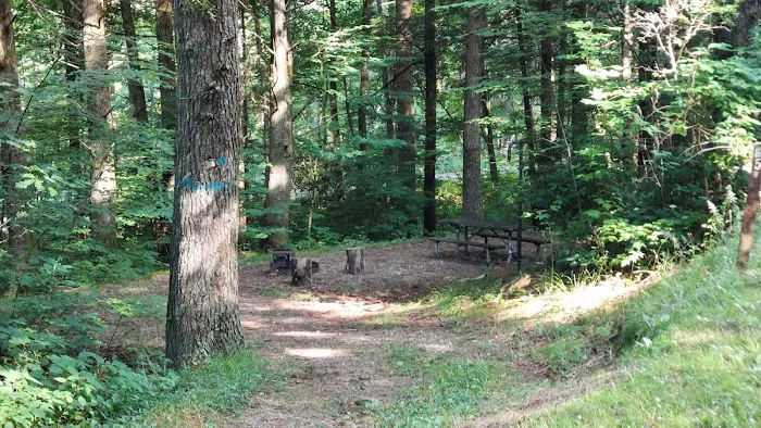 Wine Spring Horse Camp Picture 7