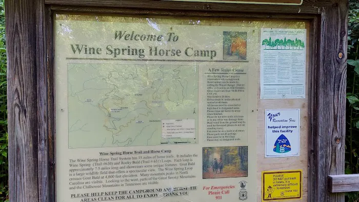 Wine Spring Horse Camp Picture 6