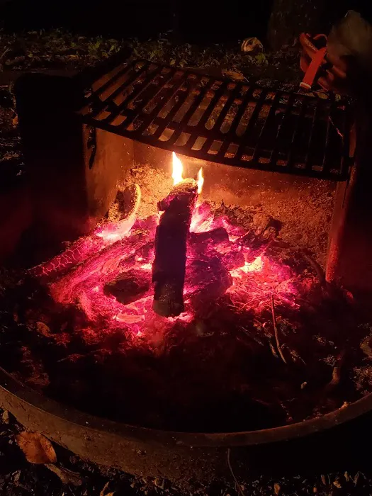 Wine Spring Horse Camp Picture 10