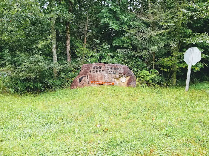 Wine Spring Horse Camp Picture 9