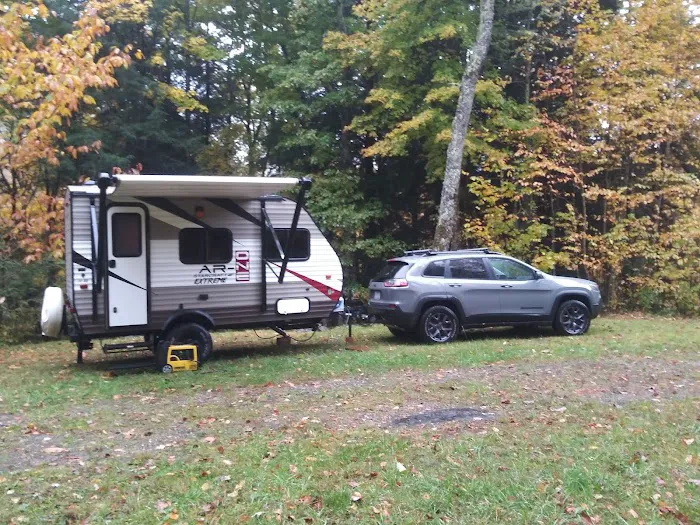 Wine Spring Horse Camp Picture 8