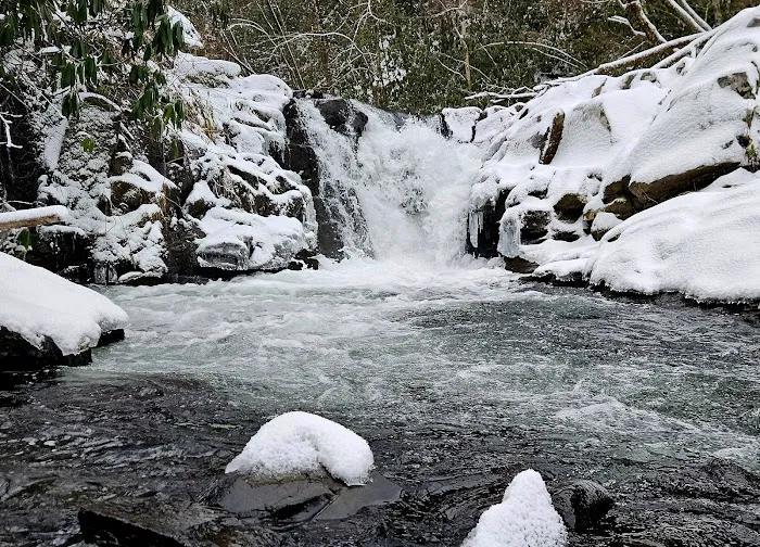Blue Ridge Basecamp Picture 3