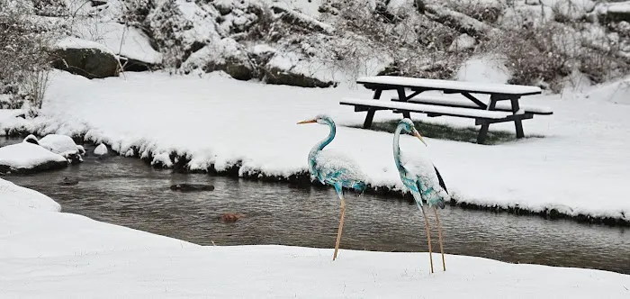 Blue Ridge Basecamp Picture 5