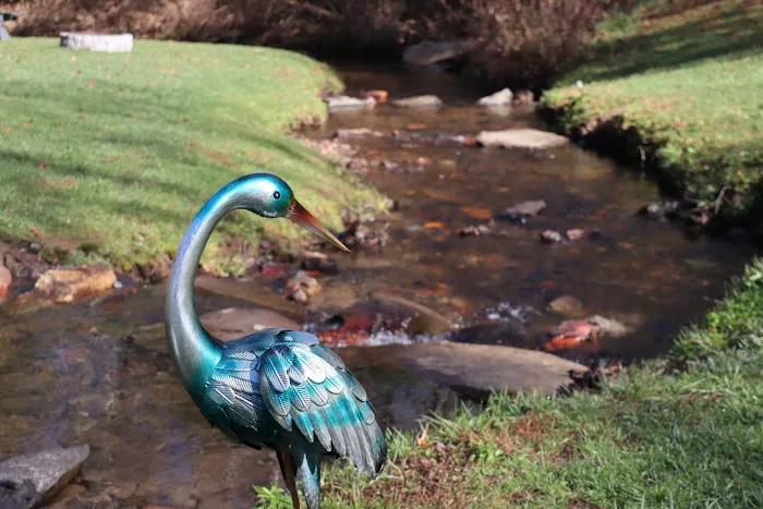 Blue Ridge Basecamp Picture 7