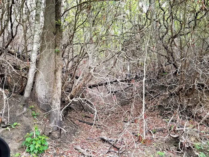 Nichols Campground Picture 3