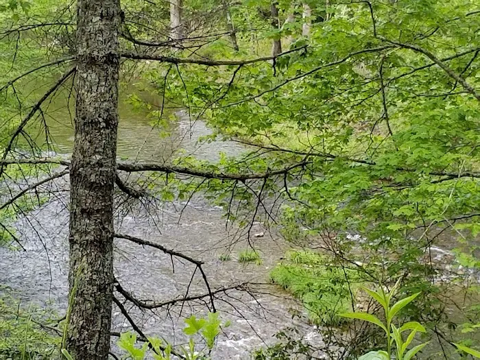 Nichols Campground Picture 6