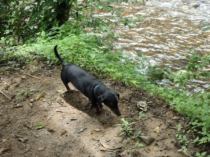 Nichols Campground Picture 5