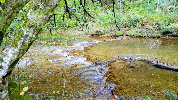 Nichols Campground Picture 8