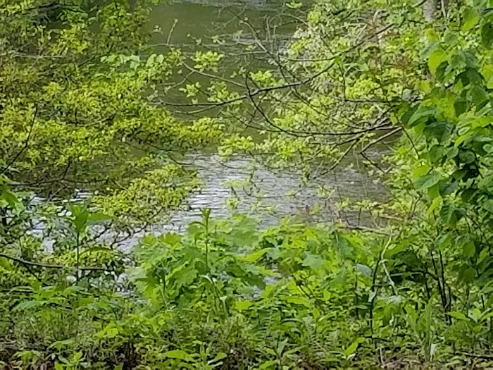 Nichols Campground Picture 9