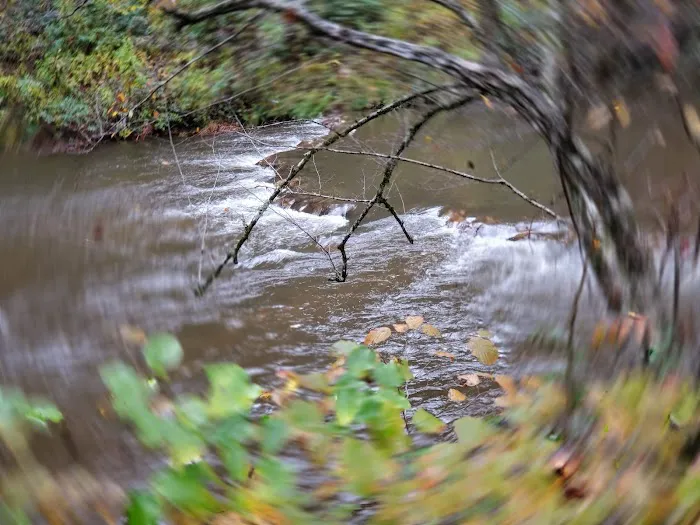 Nichols Campground Picture 10