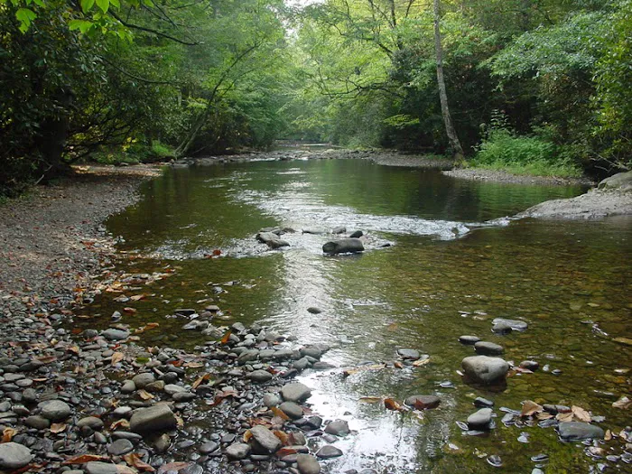 Primitive River Experimental Farm/Recreation/Events Venue Picture 5