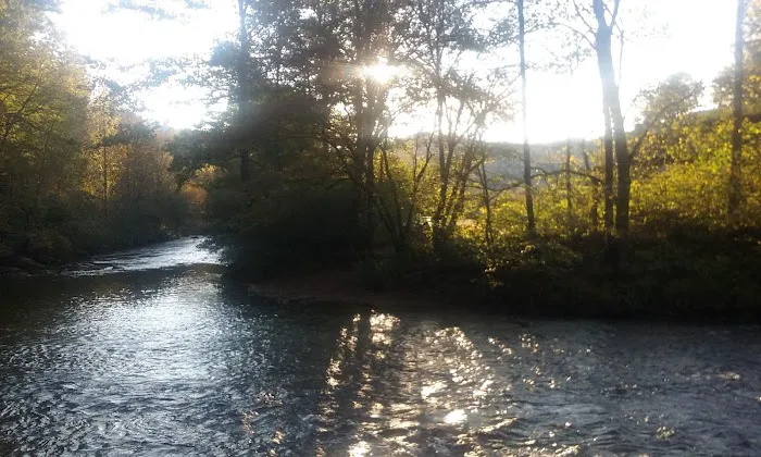 Primitive River Experimental Farm/Recreation/Events Venue Picture 17