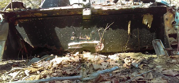 Tate Branch Campground Picture 3