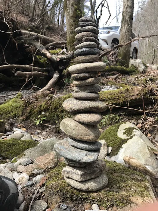 Tate Branch Campground Picture 2