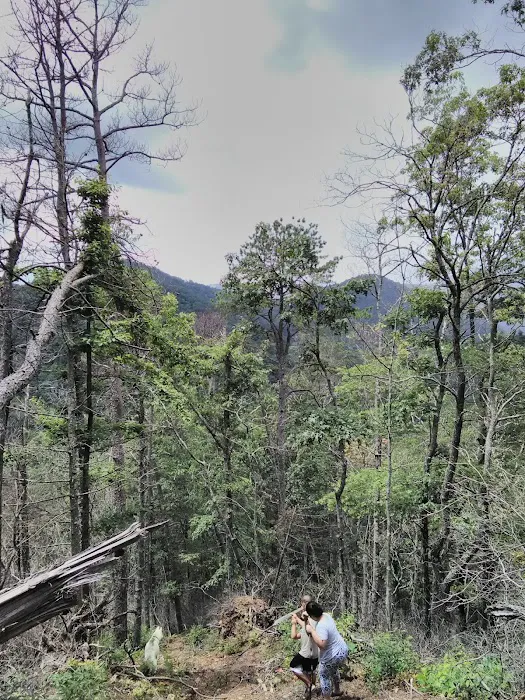 Tate Branch Campground Picture 6