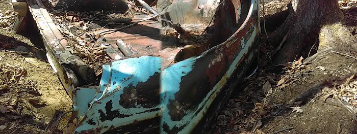 Tate Branch Campground Picture 5