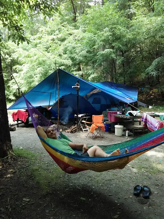 Tate Branch Campground Picture 8