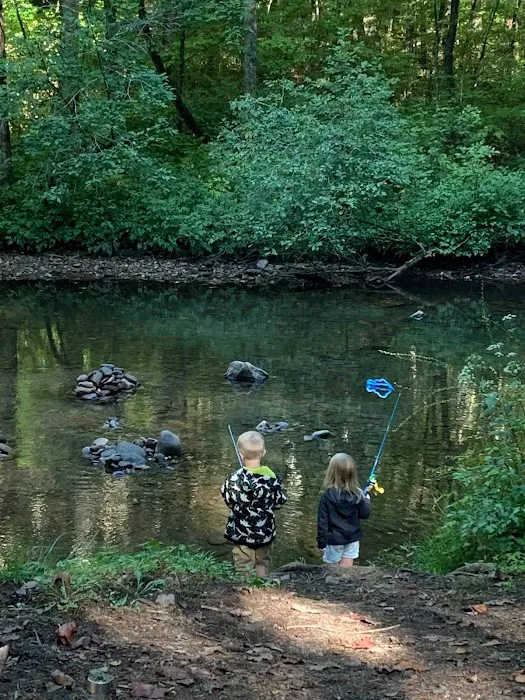 Tate Branch Campground Picture 10