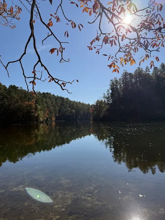 Lake Rabun Campground Picture 7