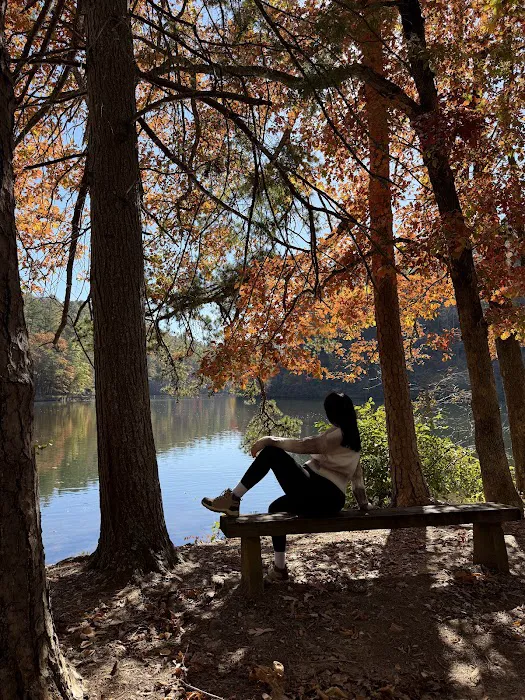 Lake Rabun Campground Picture 10