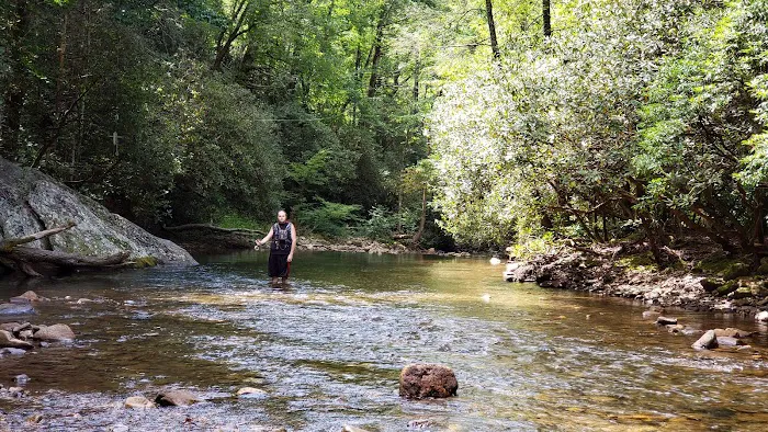 Sandy Bottoms Campground Picture 3