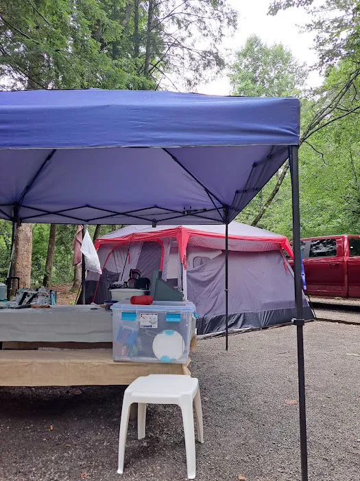 Sandy Bottoms Campground Picture 2