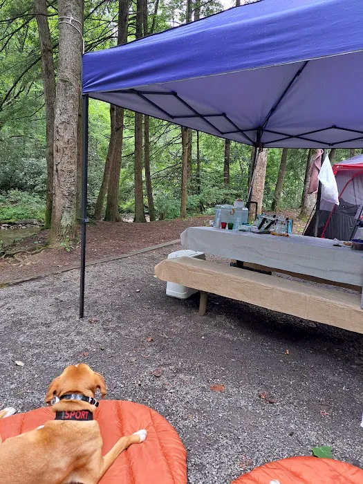 Sandy Bottoms Campground Picture 1