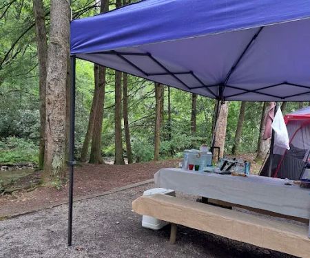 Sandy Bottoms Campground