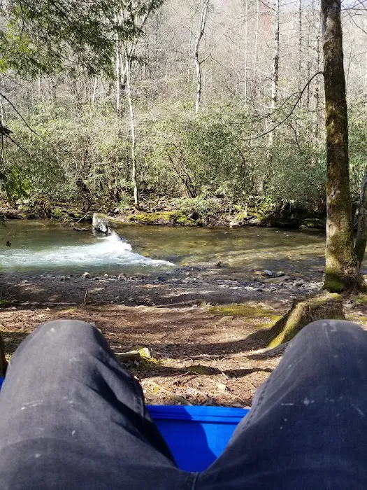 Sandy Bottoms Campground Picture 4