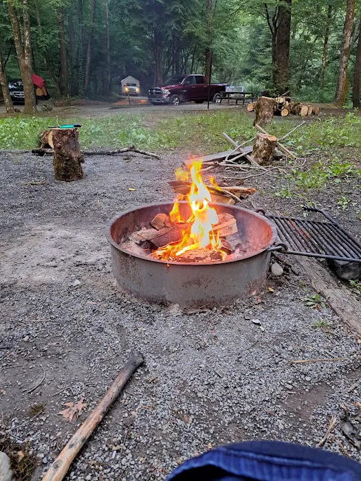 Sandy Bottoms Campground Picture 5