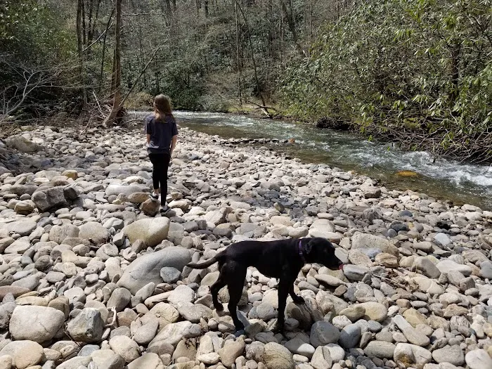 Sandy Bottoms Campground Picture 9