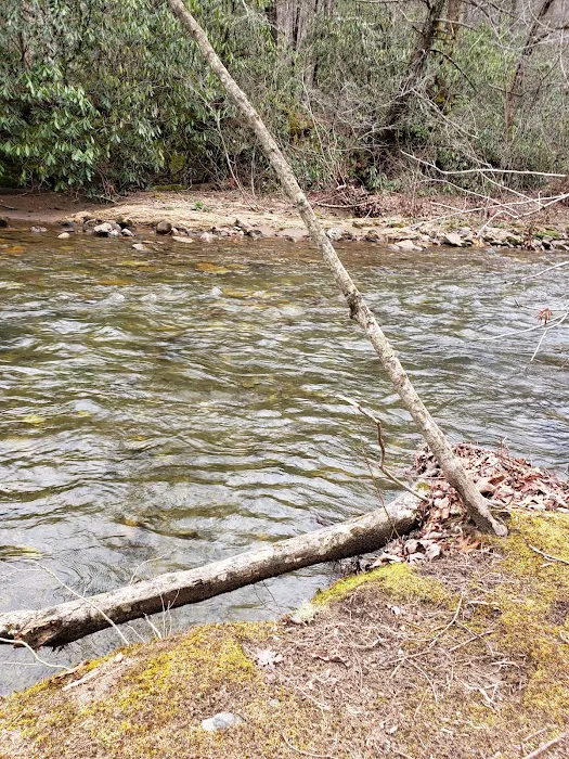 Sandy Bottoms Campground Picture 8