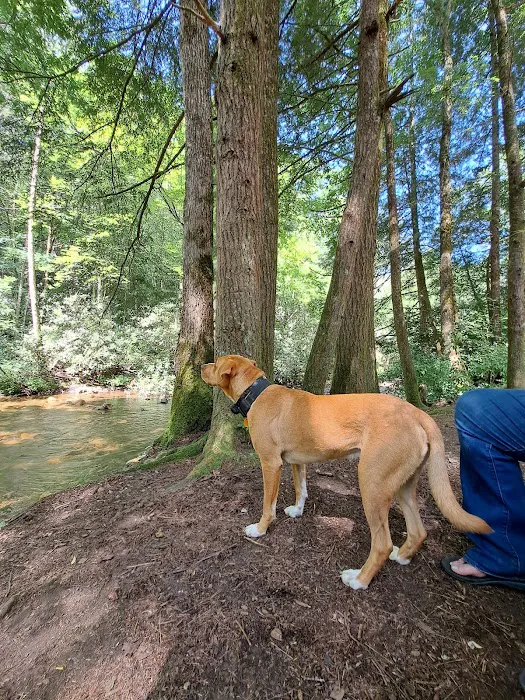 Sandy Bottoms Campground Picture 7