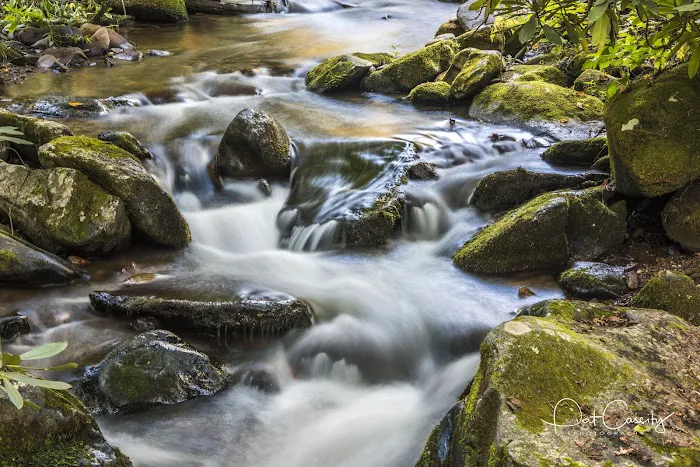 Indian Creek Campground Picture 4