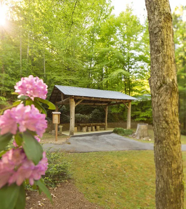 The Dell Motorcoach Resort Picture 7