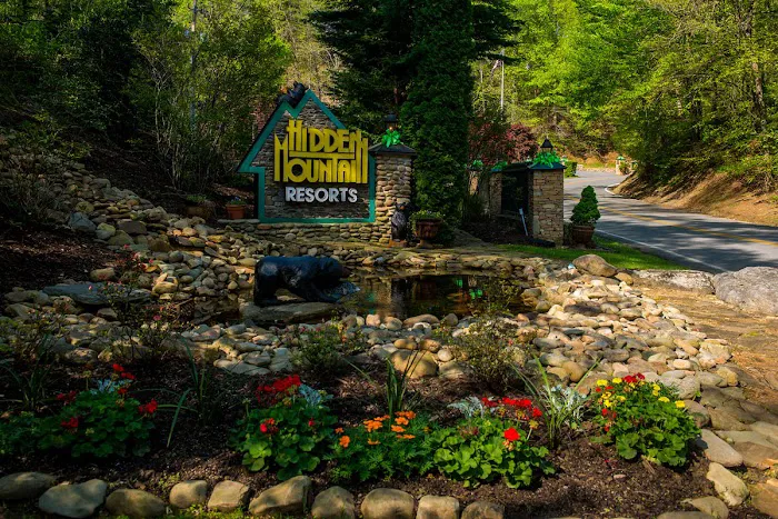 The Dell Motorcoach Resort Picture 6